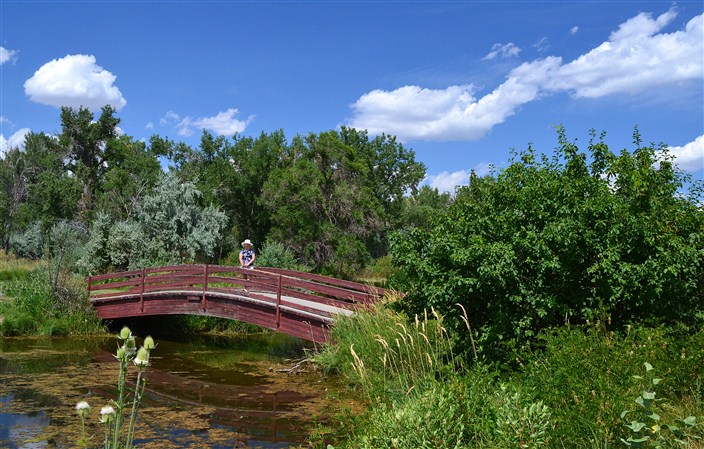 Bridge in Riverfront Park
